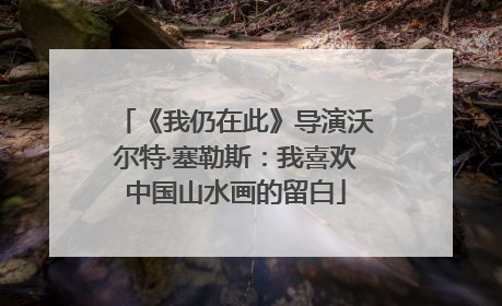 《我仍在此》导演沃尔特·塞勒斯：我喜欢中国山水画的留白