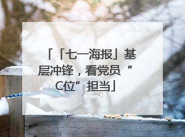 「七一海报」基层冲锋，看党员“C位”担当