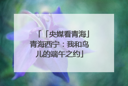 「央媒看青海」青海西宁：我和鸟儿的端午之约
