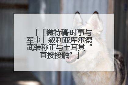 「微特稿·时事与军事」叙利亚库尔德武装称正与土耳其“直接接触”