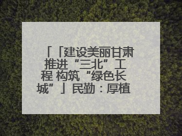 「建设美丽甘肃 推进“三北”工程 构筑“绿色长城”」民勤：厚植生态底色 筑牢绿色屏障