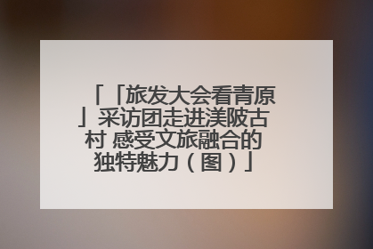 「旅发大会看青原」采访团走进渼陂古村 感受文旅融合的独特魅力（图）