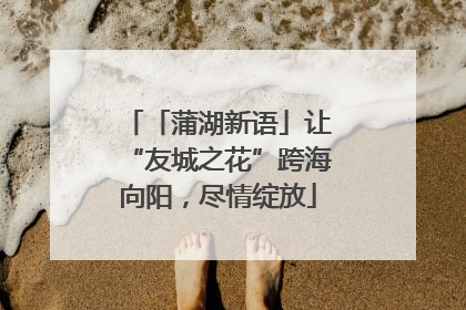 「蒲湖新语」让“友城之花”跨海向阳，尽情绽放