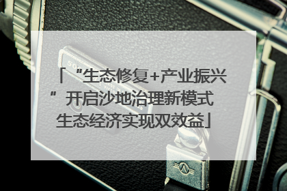 “生态修复+产业振兴”开启沙地治理新模式 生态经济实现双效益