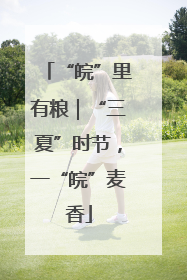 “皖”里有粮｜“三夏”时节，一“皖”麦香