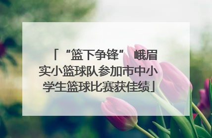 “篮下争锋” 峨眉实小篮球队参加市中小学生篮球比赛获佳绩