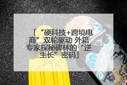 “硬科技+跨境电商”双轮驱动 外籍专家探秘碑林的“逆生长”密码