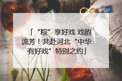 “粽”享好戏 戏韵流芳！共赴河北“中华有好戏”特别之约