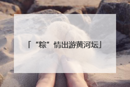 “粽”情出游黄河坛