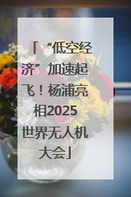“低空经济”加速起飞！杨浦亮相2025世界无人机大会