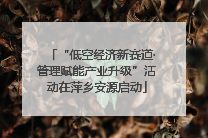 “低空经济新赛道·管理赋能产业升级”活动在萍乡安源启动
