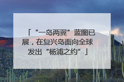 “一岛两翼”蓝图已展，在复兴岛面向全球发出“杨浦之约”