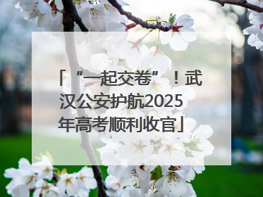 “一起交卷”！武汉公安护航2025年高考顺利收官