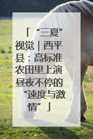 “三夏”视觉｜西平县：高标准农田里上演昼夜不停的“速度与激情”