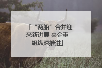 “两船”合并迎来新进展 央企重组纵深推进