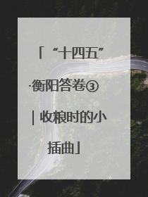“十四五”·衡阳答卷③｜收粮时的小插曲