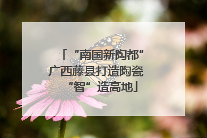 “南国新陶都”广西藤县打造陶瓷“智”造高地