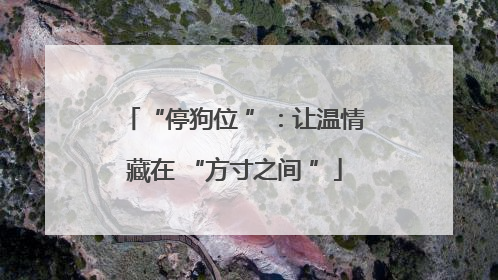 “停狗位 ”：让温情藏在 “方寸之间 ”