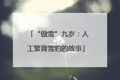“傲雪”九岁：人工繁育雪豹的故事