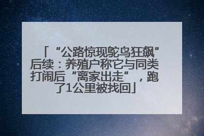 “公路惊现鸵鸟狂飙”后续：养殖户称它与同类打闹后“离家出走”，跑了1公里被找回