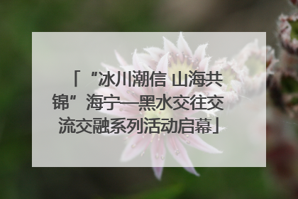 “冰川潮信 山海共锦”海宁—黑水交往交流交融系列活动启幕