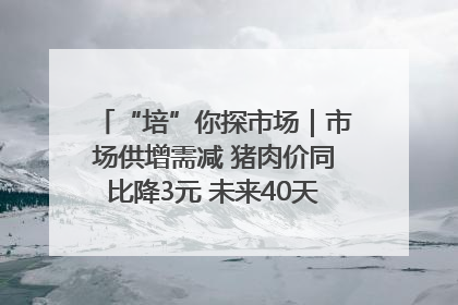 “培”你探市场｜市场供增需减 猪肉价同比降3元 未来40天便宜猪肉敞开吃