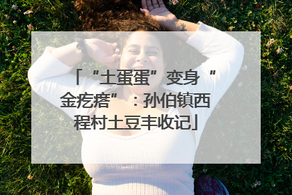 “土蛋蛋”变身“金疙瘩”：孙伯镇西程村土豆丰收记