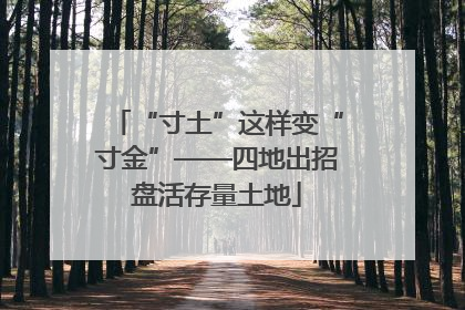 “寸土”这样变“寸金”——四地出招盘活存量土地