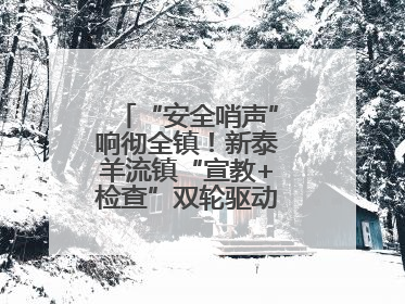 “安全哨声”响彻全镇！新泰羊流镇“宣教+检查”双轮驱动筑牢安全防线