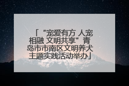 “宠爱有方 人宠相融 文明共享”青岛市市南区文明养犬主题实践活动举办