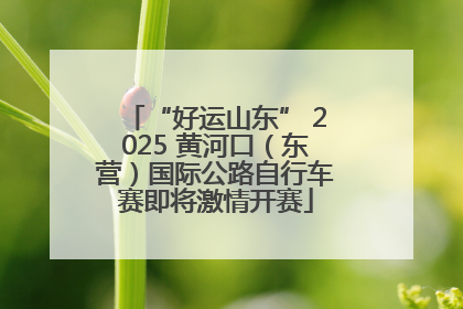 “好运山东” 2025 黄河口（东营）国际公路自行车赛即将激情开赛
