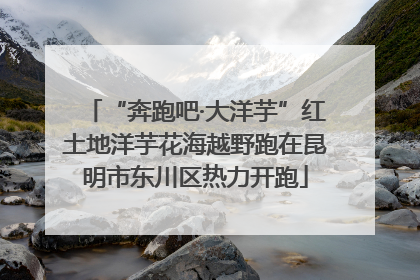 “奔跑吧·大洋芋”红土地洋芋花海越野跑在昆明市东川区热力开跑