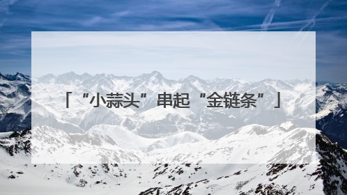 “小蒜头”串起“金链条”