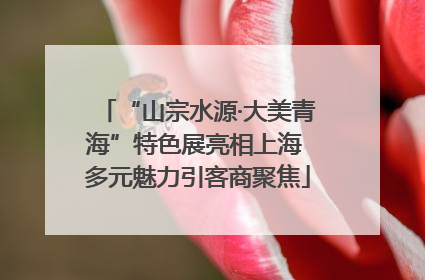 “山宗水源·大美青海”特色展亮相上海 多元魅力引客商聚焦