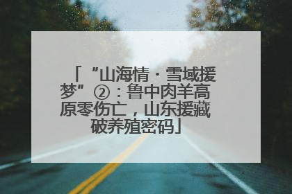 “山海情・雪域援梦”②：鲁中肉羊高原零伤亡，山东援藏破养殖密码