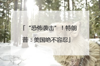 “恐怖袭击”！特朗普：美国绝不容忍