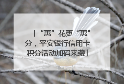 “惠”花更“惠”分，平安银行信用卡积分活动加码来袭