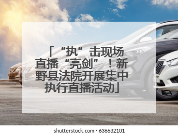 “执”击现场 直播“亮剑”！新野县法院开展集中执行直播活动
