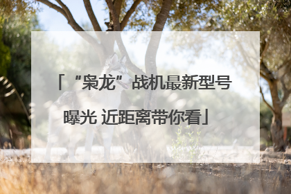 “枭龙”战机最新型号曝光 近距离带你看