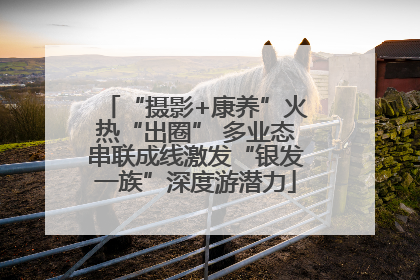 “摄影+康养”火热“出圈” 多业态串联成线激发“银发一族”深度游潜力