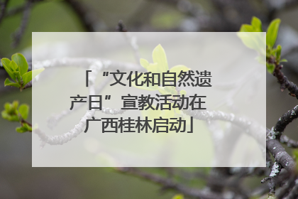 “文化和自然遗产日”宣教活动在广西桂林启动