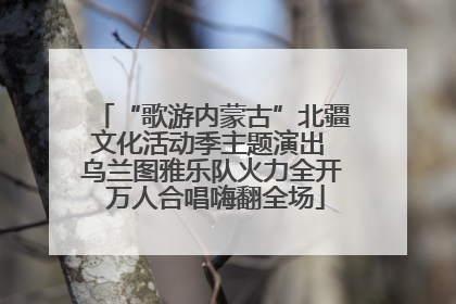 “歌游内蒙古”北疆文化活动季主题演出 乌兰图雅乐队火力全开 万人合唱嗨翻全场