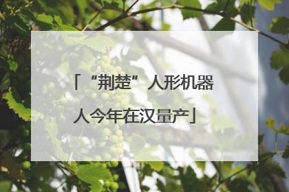 “荆楚”人形机器人今年在汉量产