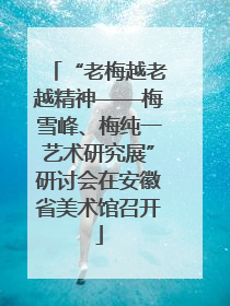 “老梅越老越精神——梅雪峰、梅纯一艺术研究展”研讨会在安徽省美术馆召开