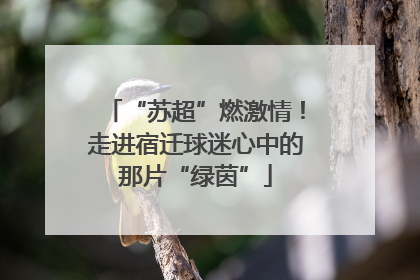 “苏超”燃激情！走进宿迁球迷心中的那片“绿茵”