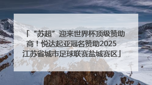 “苏超”迎来世界杯顶级赞助商！悦达起亚冠名赞助2025江苏省城市足球联赛盐城赛区