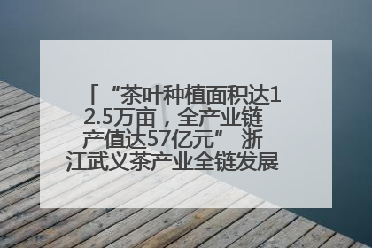 “茶叶种植面积达12.5万亩，全产业链产值达57亿元” 浙江武义茶产业全链发展“加速度”