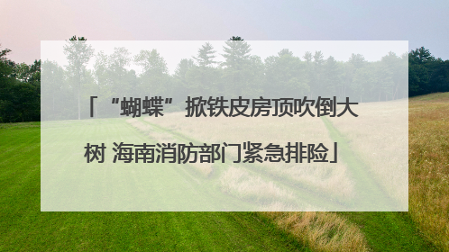 “蝴蝶”掀铁皮房顶吹倒大树 海南消防部门紧急排险