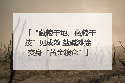 “藏粮于地、藏粮于技”见成效 盐碱滩涂变身“黄金粮仓”