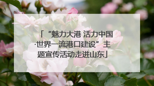 “魅力大港 活力中国·世界一流港口建设”主题宣传活动走进山东